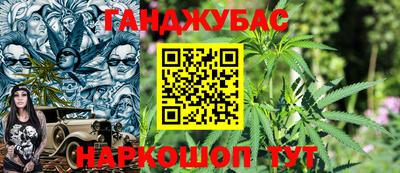 крисы Чебаркуль