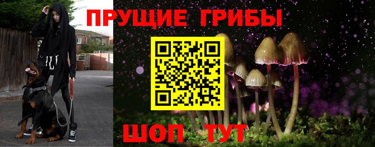 Псилоцибиновые грибы Psilocybine cubensis  Псилоцибиновые грибы Magic Shrooms  Вход с VPN  Радужный 
